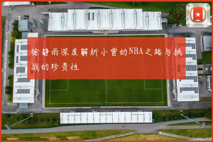 徐静雨深度解析小曾的NBA之路与挑战的珍贵性