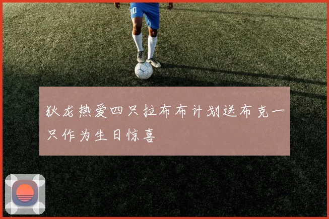 狄龙热爱四只拉布布计划送布克一只作为生日惊喜