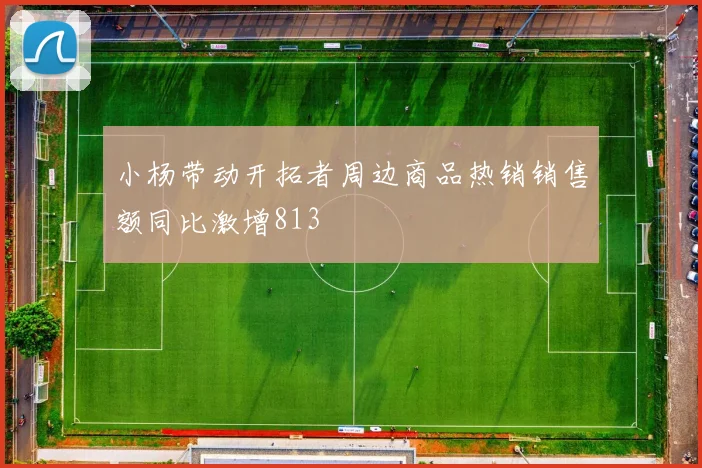 小杨带动开拓者周边商品热销销售额同比激增813