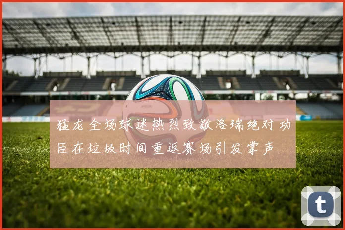 猛龙全场球迷热烈致敬洛瑞绝对功臣在垃圾时间重返赛场引发掌声