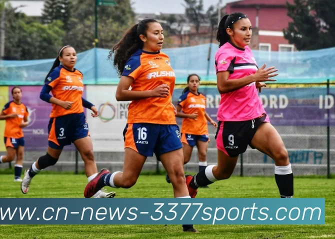 3377体育平台生态图