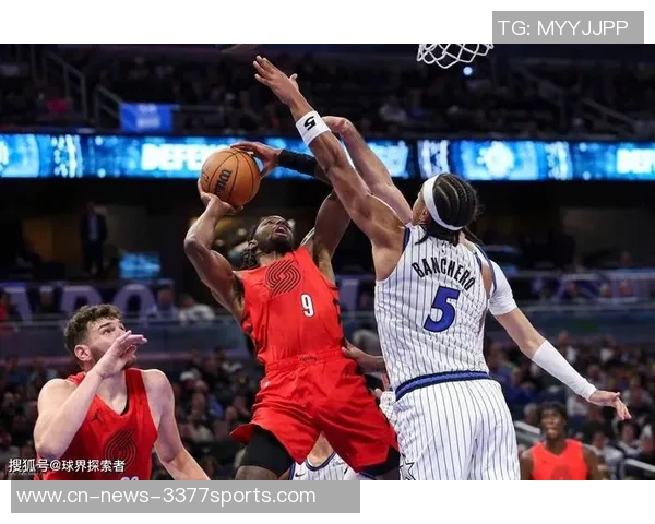 登哥未来选择将影响华子CC班凯罗与杨瀚森克林根的成长与发展